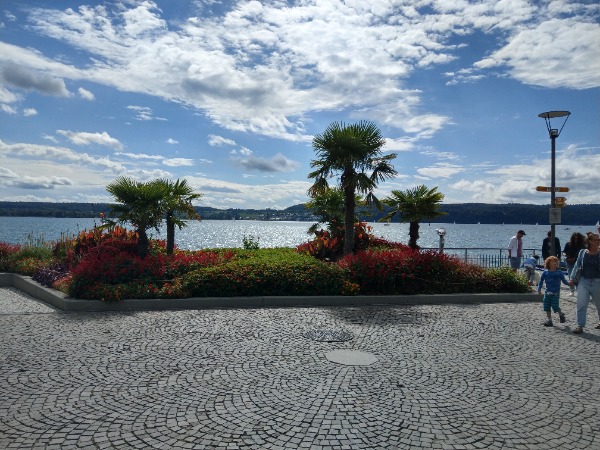 Suche onlineshop Betreiber/in