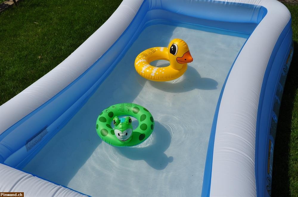 Kursleiterin für Kinder im Wasser in Rodtegg gesucht