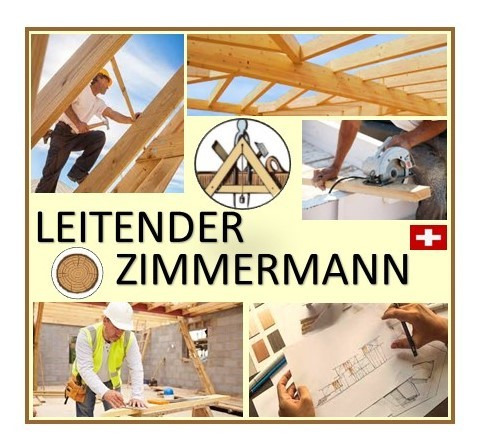Leitender Zimmermann 100% (CH-Kt. Luzern) - per sofort/n.V.