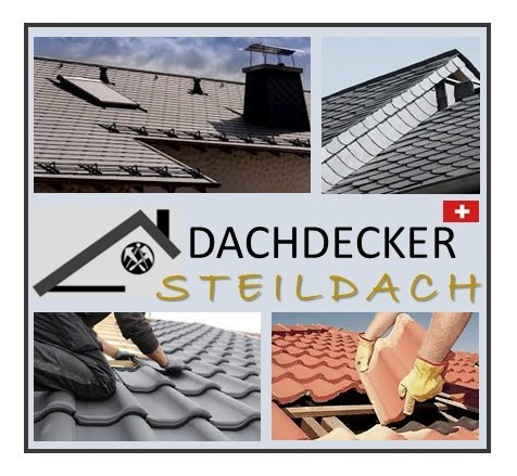 Dachdecker Steildach 100% (CH-Kt. Deutsch-Schweiz) - per sofort