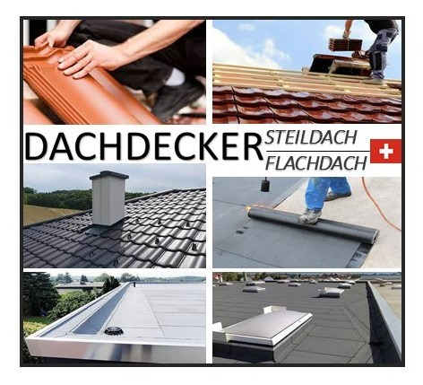 Dachdecker (Steil-/Flachdach) 100% (CH-Zentralschweiz)
