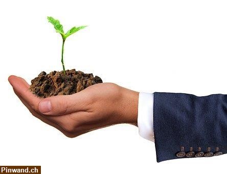 HomeOffice - Deine Zukunft als Freelancer