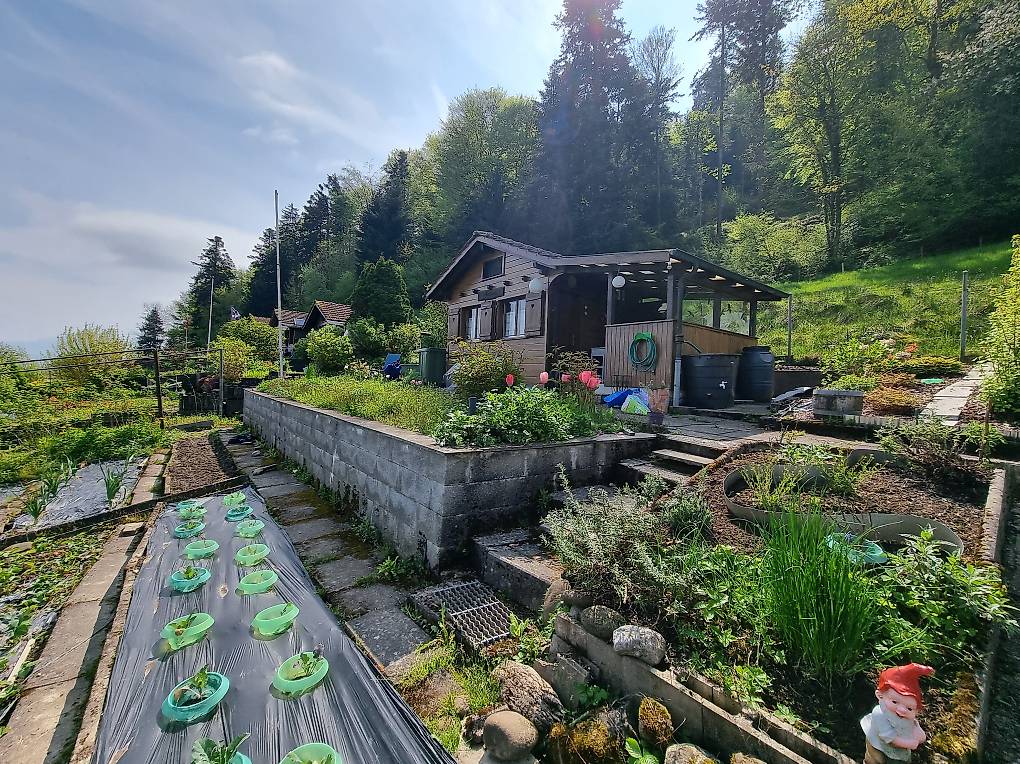 Schrebergarten in Kriens