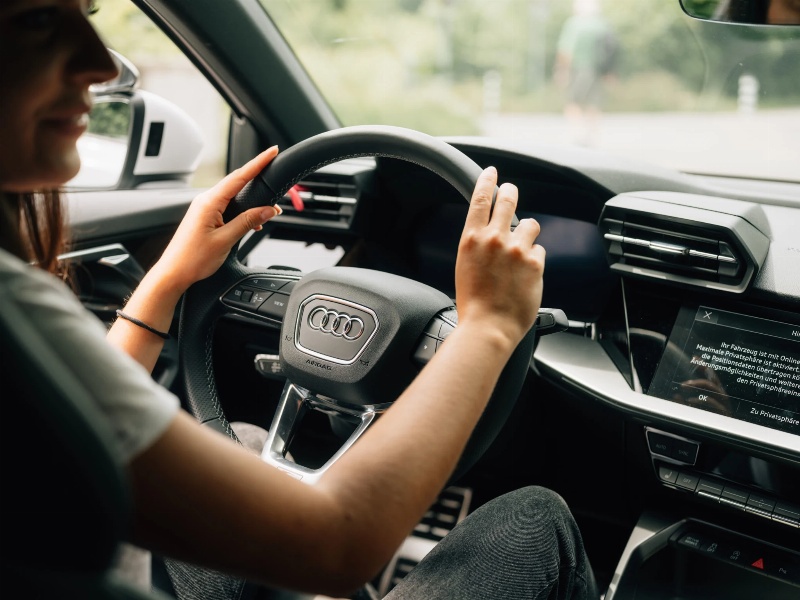 Chauffeur im Stundenlohn (ca. 30%)


